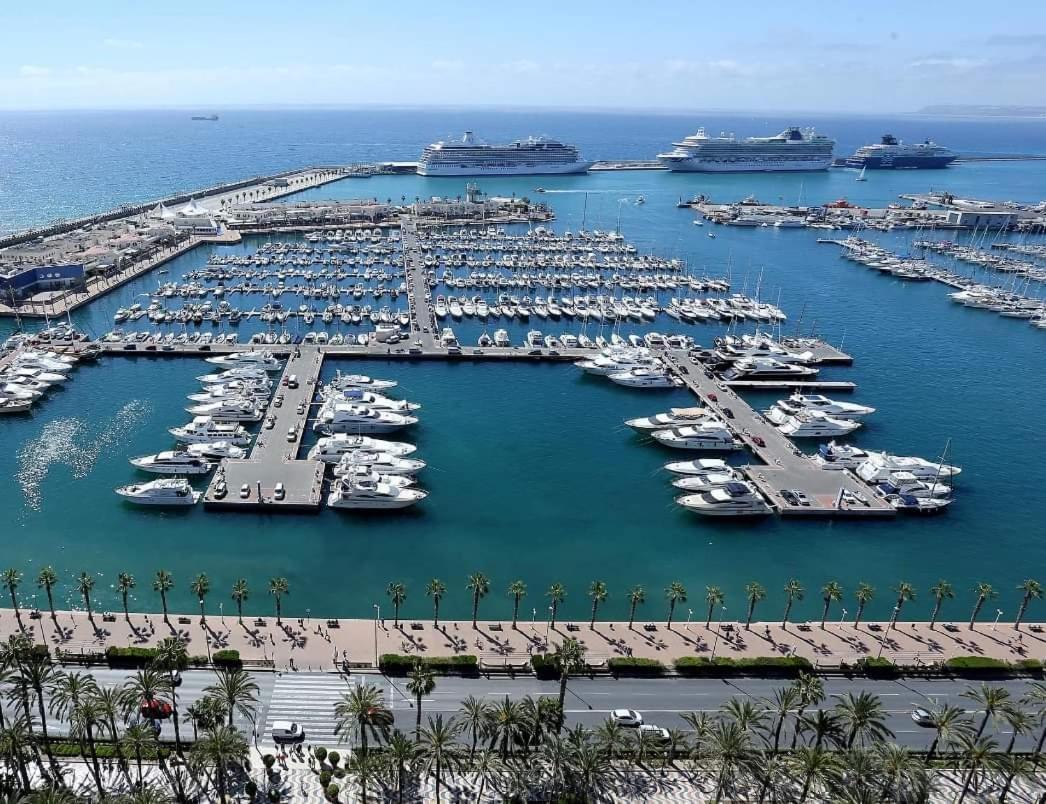 Charming Apartment In Alicante Near The Sea & City Center 외부 사진