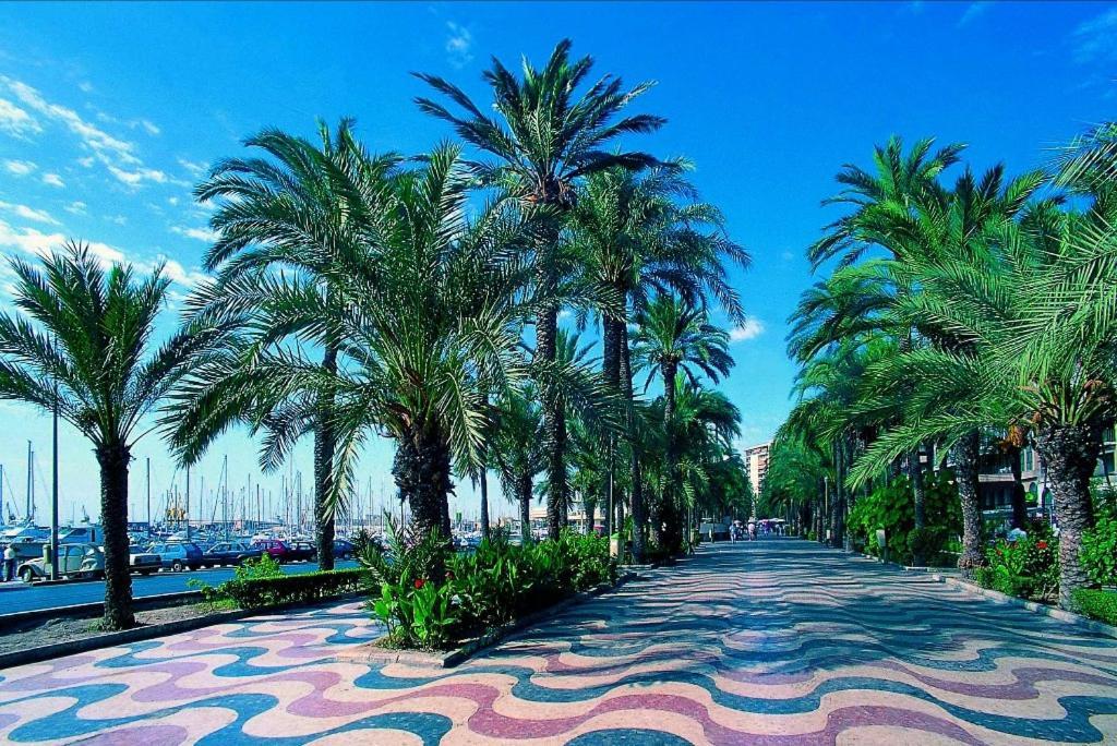 Charming Apartment In Alicante Near The Sea & City Center 외부 사진